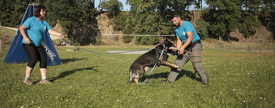 Foto Milevské maškary Pohádkový les 2021