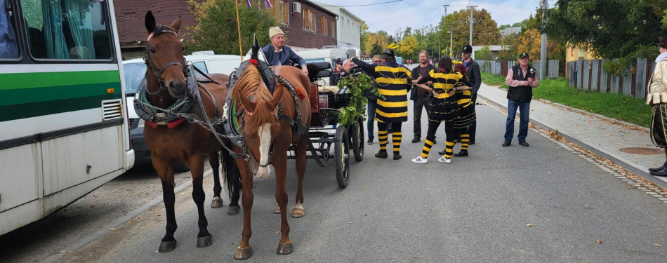 Foto Milevské maškary 