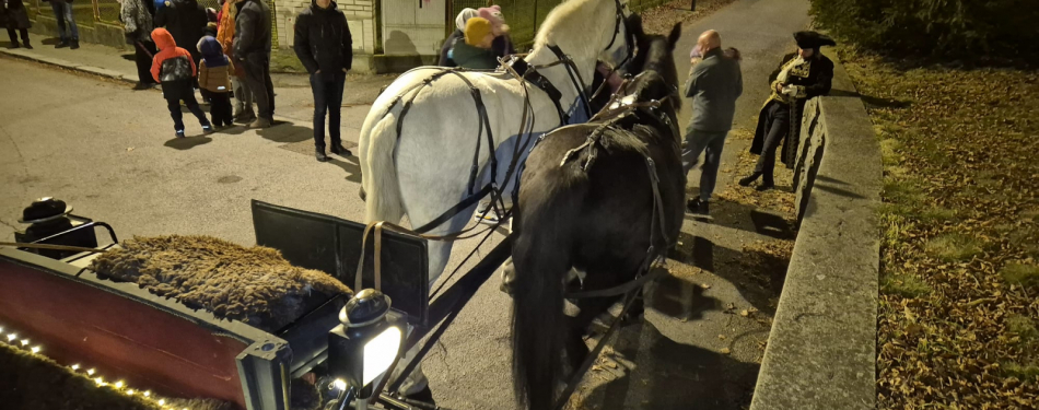 Foto Milevské maškary Mikulášská jízda