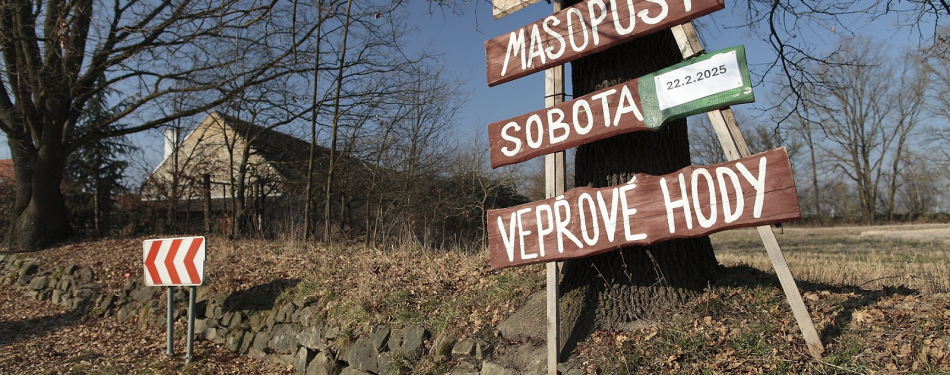 Foto Milevské maškary Masopust  ve Skalách 2025