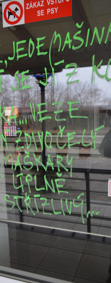 Foto Milevské maškary 