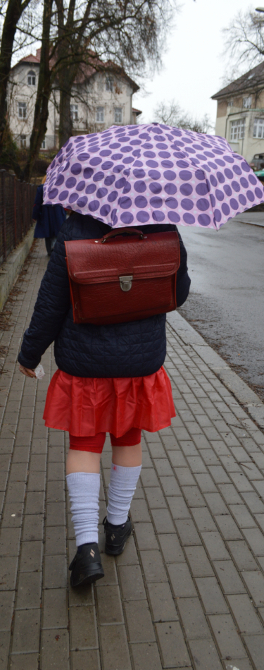 Foto Milevské maškary 