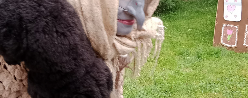 Foto Milevské maškary 